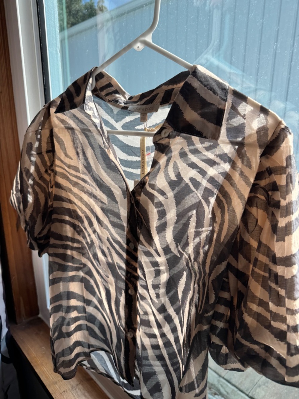 Zebra ISH - Picture 5 of 5